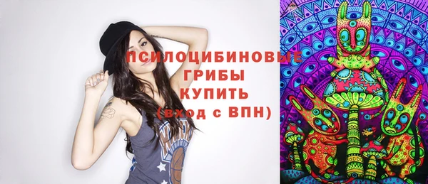 дурь Ладушкин