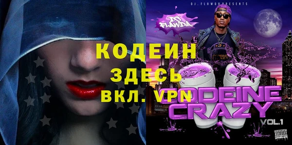 дурь Ладушкин