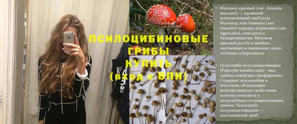 соль ск Лабытнанги