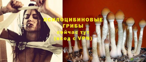 MESCALINE Лагань