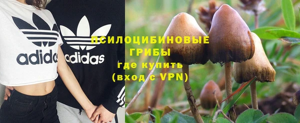 соль ск Лабытнанги