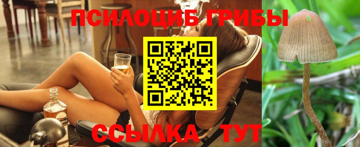 Лесозаводск  Псилоцибиновые грибы Magic Shrooms  Вход с VPN 